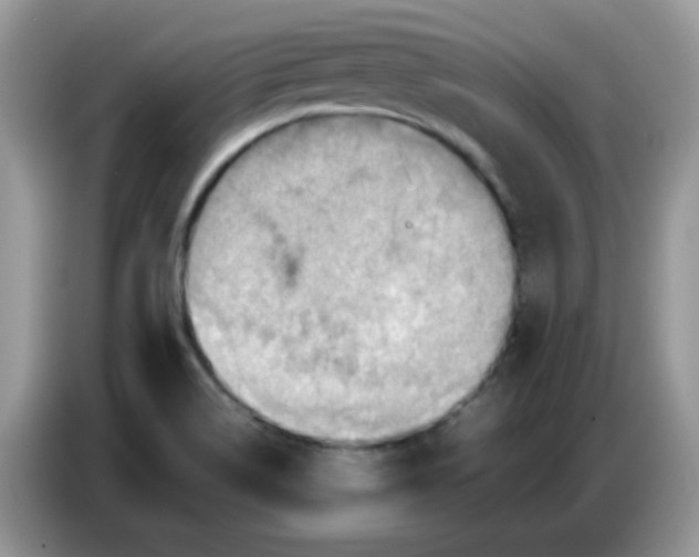 X0000086771514200704271740
