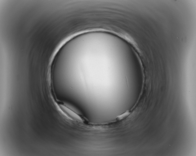 X0000086771516200704271740
