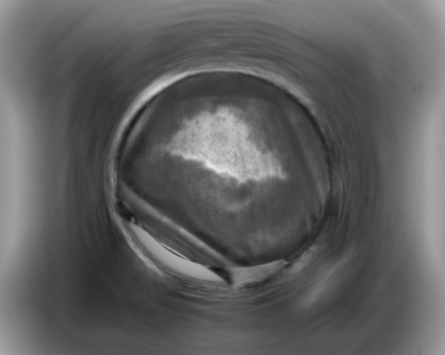 X0000086771517200704271740