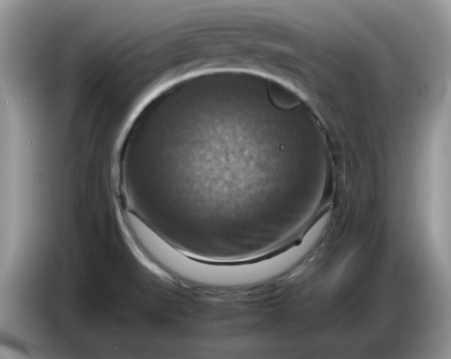 X0000086771519200704271740