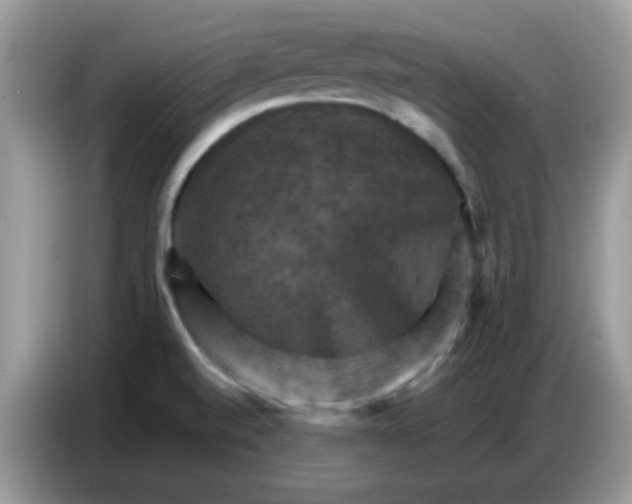X0000086771520200704271740