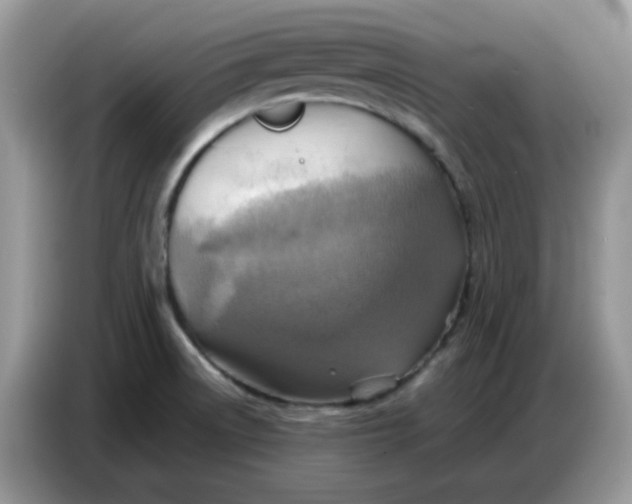 X0000086771522200704271740