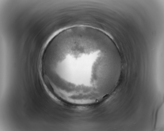 X0000086771523200704271740