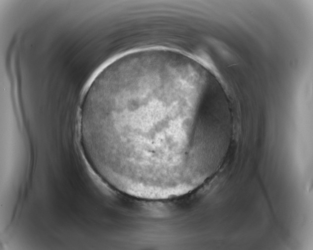 X0000086771524200704271740