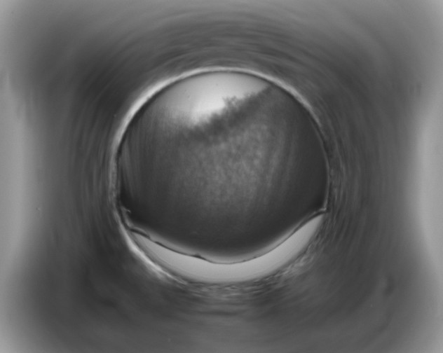 X0000086771527200704271740