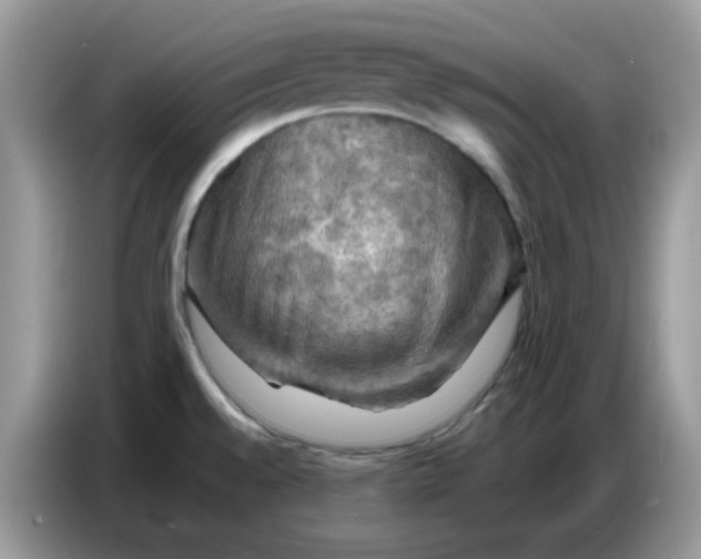 X0000086771528200704271740