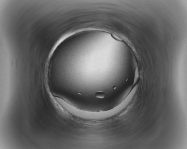 X0000086771530200704271740
