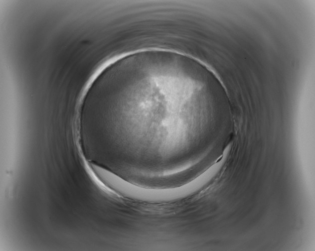 X0000086771531200704271740