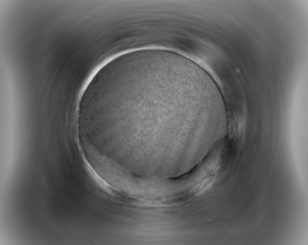 X0000086771532200704271740