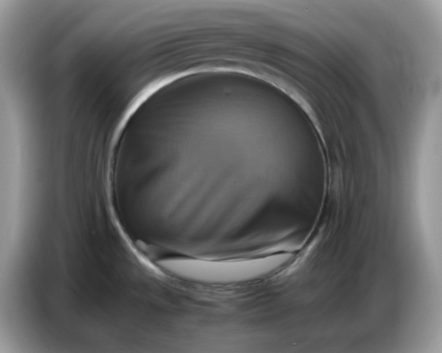 X0000086771533200704271740