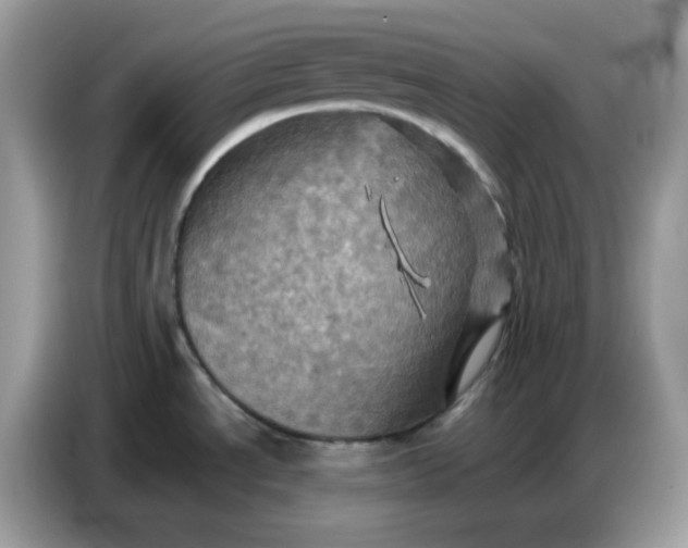 X0000086771534200704271740