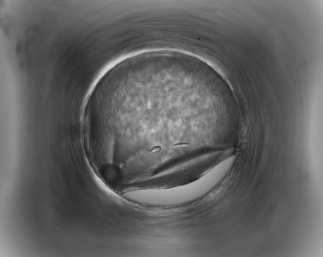 X0000086771535200704271740