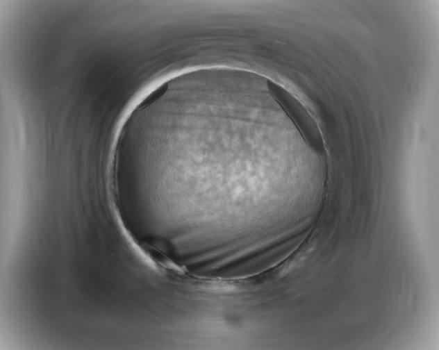 X0000086771536200704271740