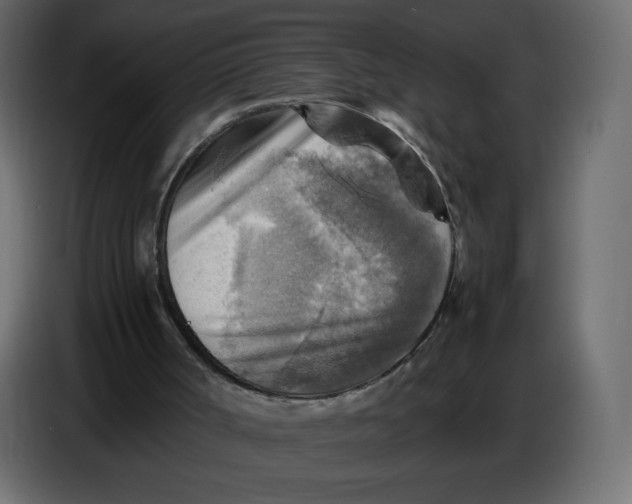 X0000086770002200705041517