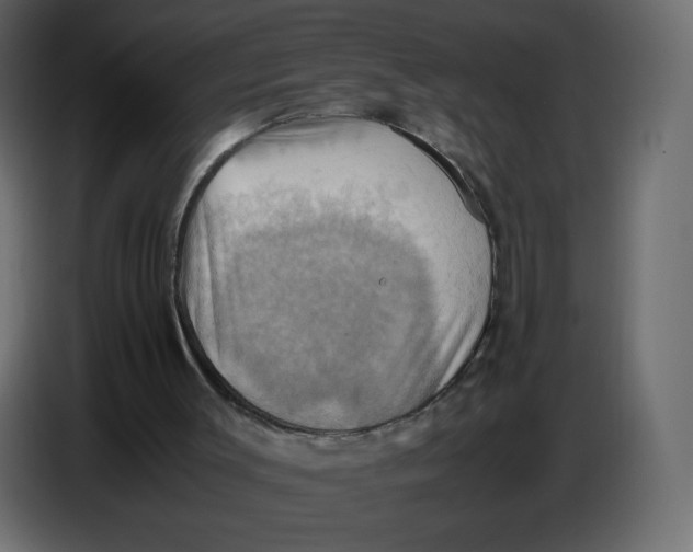 X0000086770003200705041517