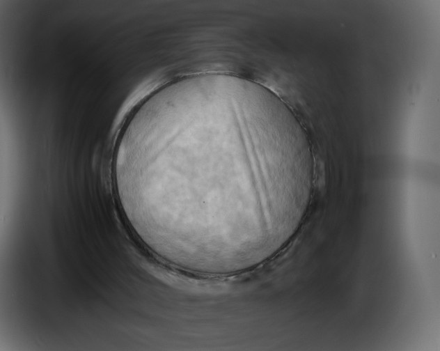 X0000086770004200705041517