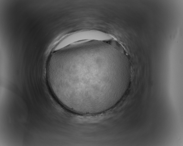 X0000086770005200705041517