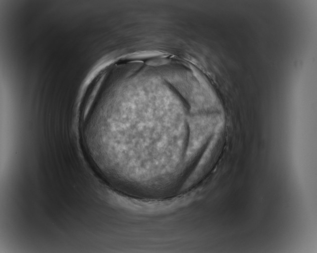 X0000086770006200705041517