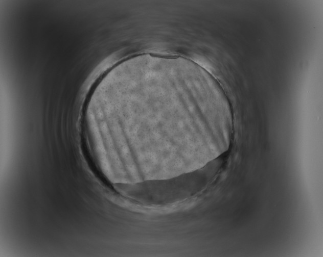 X0000086770007200705041517