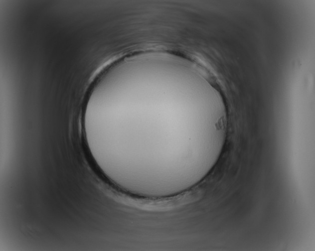 X0000086770011200705041517