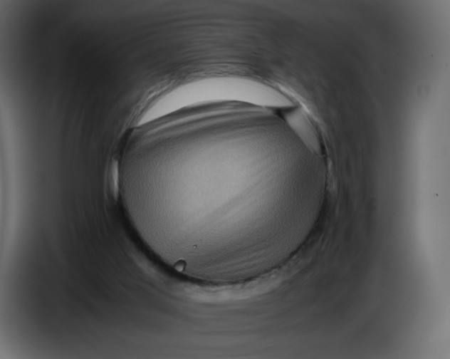 X0000086770013200705041517