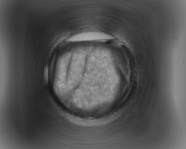 X0000086770014200705041517