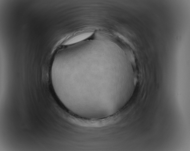 X0000086770015200705041517