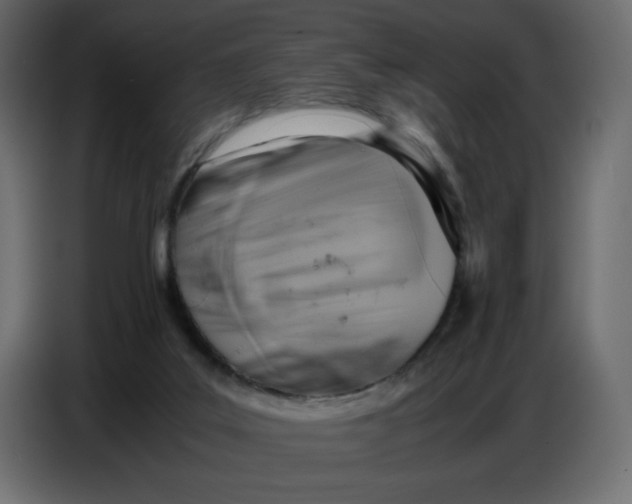 X0000086770019200705041517