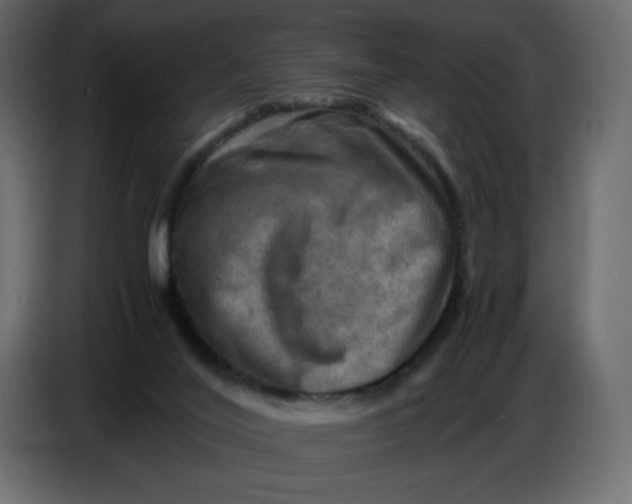 X0000086770020200705041517