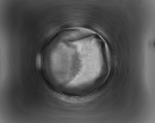X0000086770022200705041517