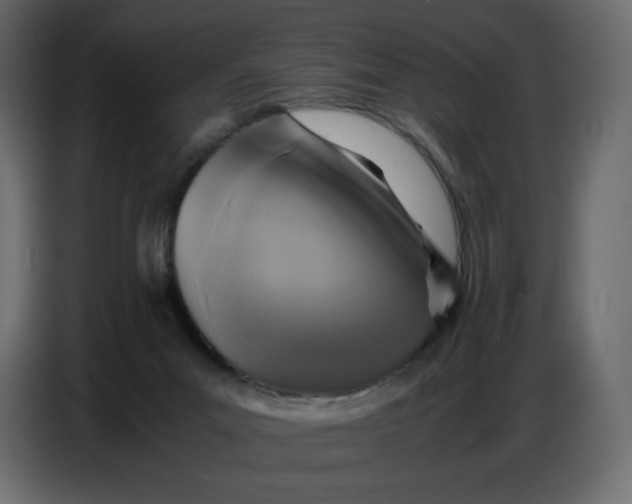 X0000086770023200705041517