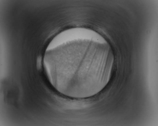 X0000086770024200705041517