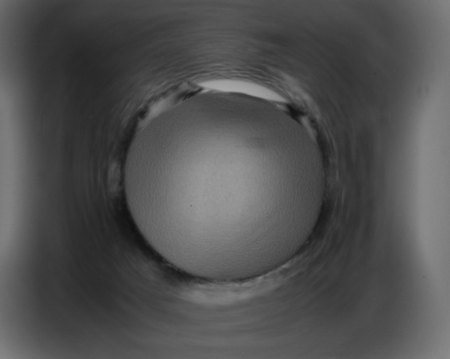 X0000086770025200705041517