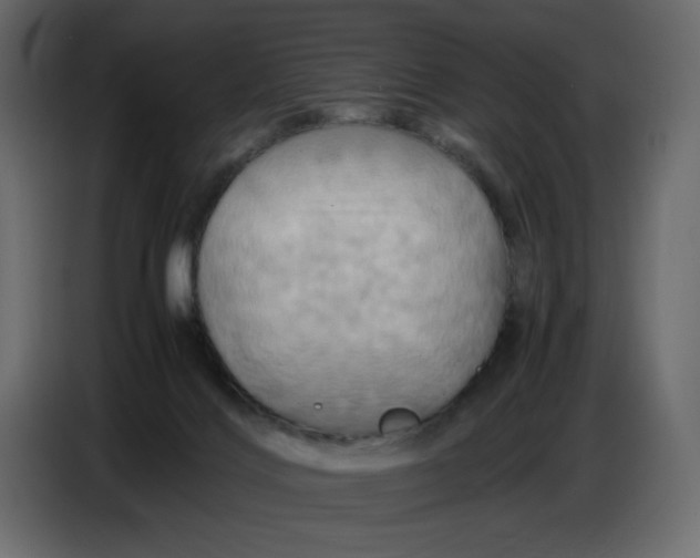 X0000086770028200705041517