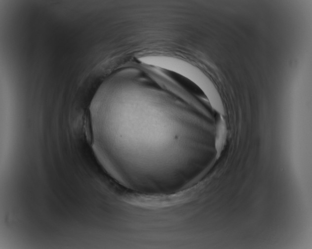 X0000086770029200705041517