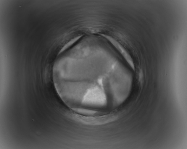 X0000086770030200705041517