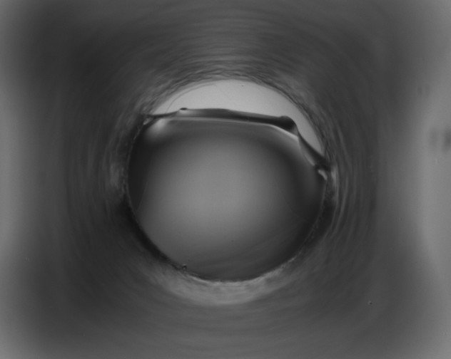 X0000086770031200705041517