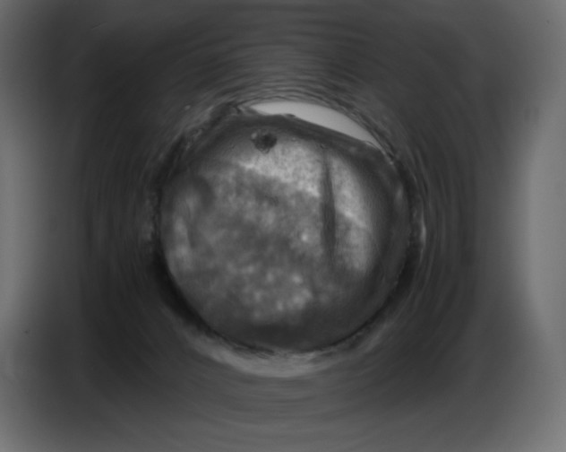 X0000086770032200705041517