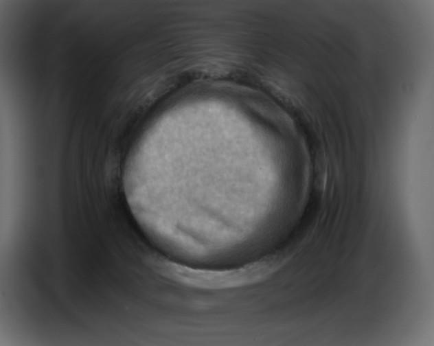 X0000086770034200705041517