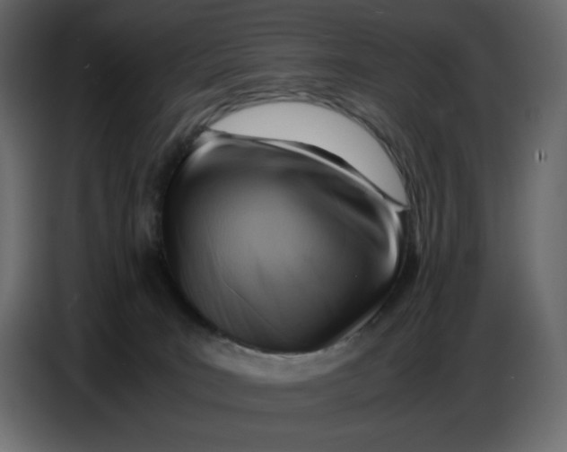 X0000086770035200705041517