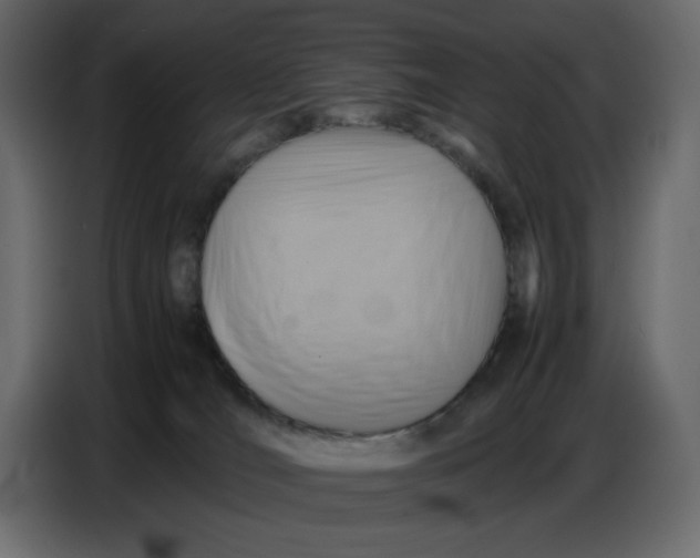 X0000086770036200705041517