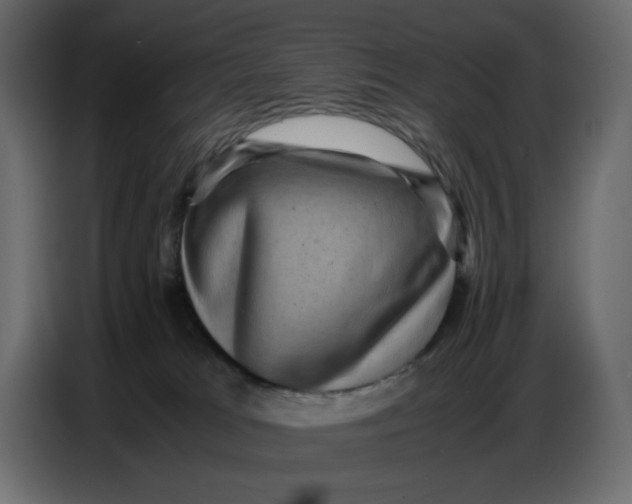 X0000086770037200705041517
