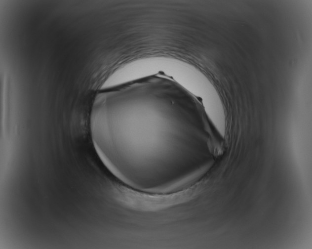 X0000086770039200705041517