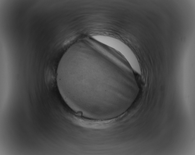 X0000086770040200705041517