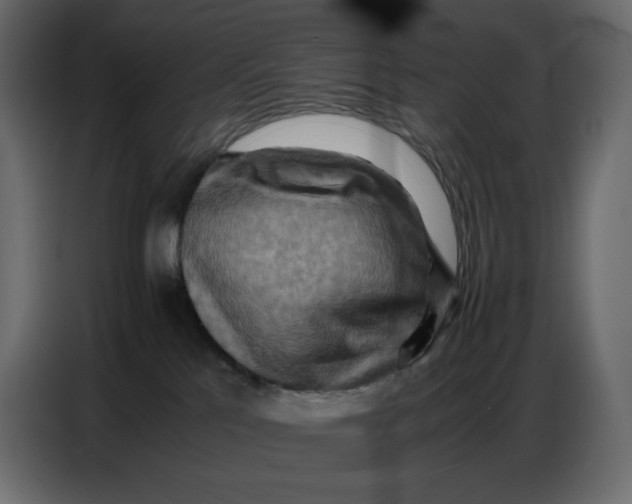 X0000086770041200705041517