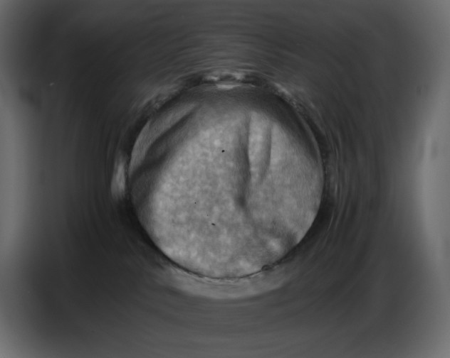 X0000086770042200705041517