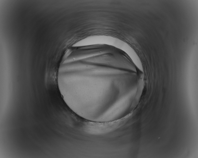 X0000086770045200705041517