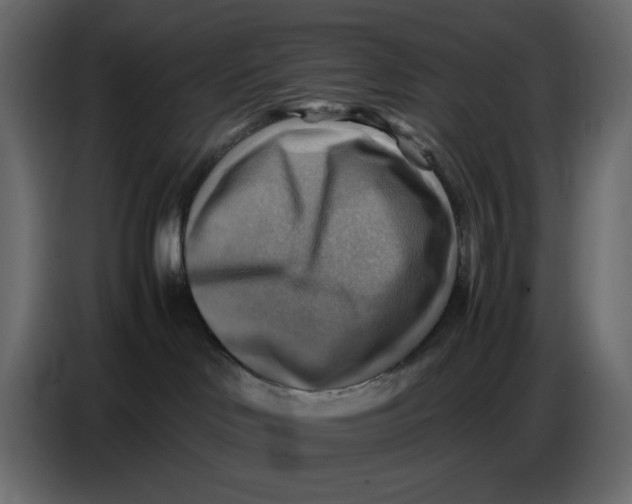 X0000086770046200705041517