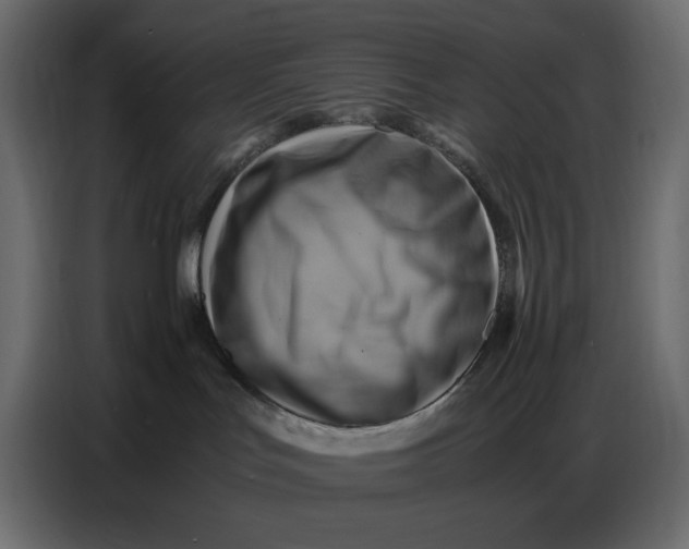 X0000086770047200705041517