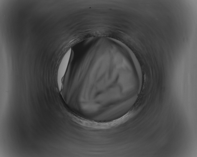 X0000086770048200705041517